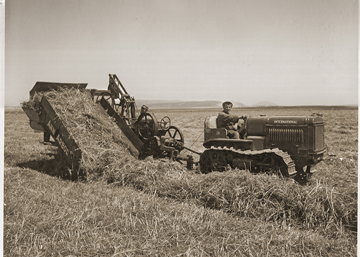 Landwirtschaft