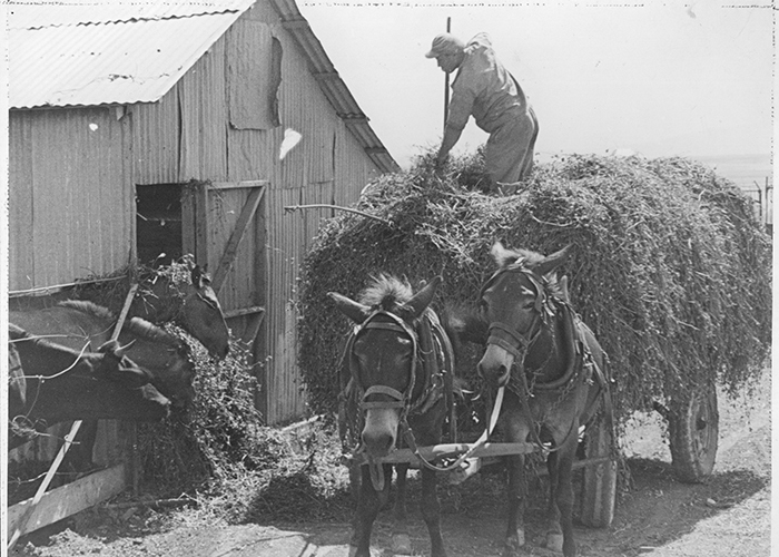 Landtechnik