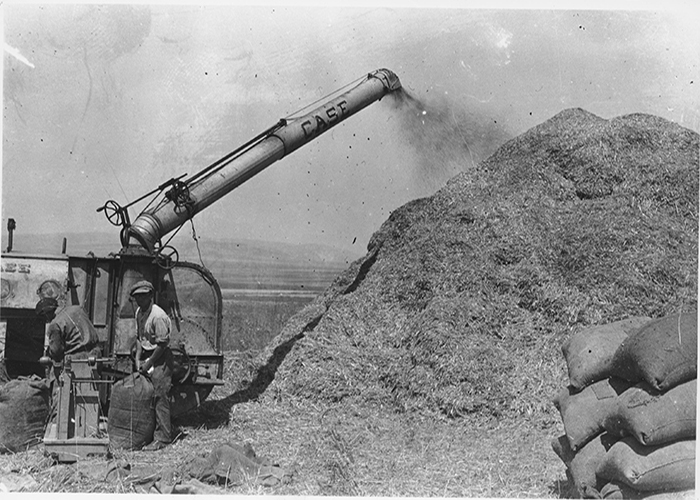 nachhaltige Landwirtschaft