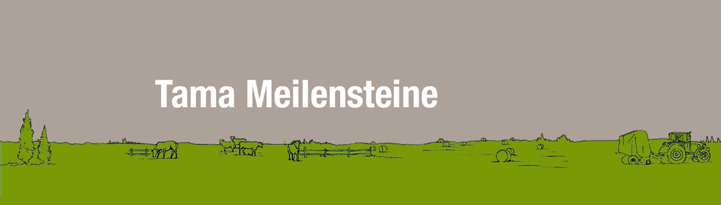 Tama Meilensteine