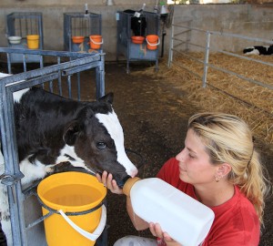 Unsere landwirtschaftlichen Aktivitäten