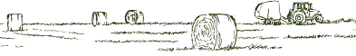 Drawing of a hay field with bales